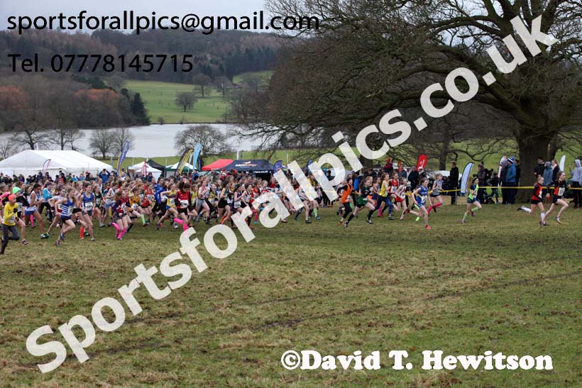 Girls under-13s, 2018 Northern Cross Country Champs., Harewood House, Leeds. Photo: David T. Hewitson/Sports for All Pics